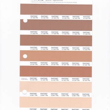 Pantone Tpg Flan Replacement Page Fashion Home Interiors Hot