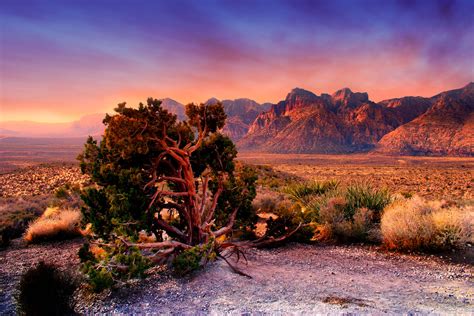 Nevada Photography And Travel Guide Las Vegas Area