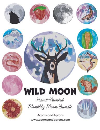 Wild Moon Bundle Acorns And Aprons