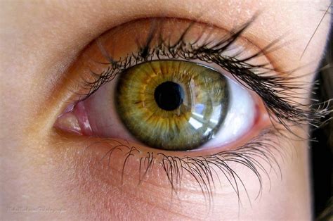 33 Of The Most Beautiful Pairs Of Eyes To Grace Our Facebook Wall