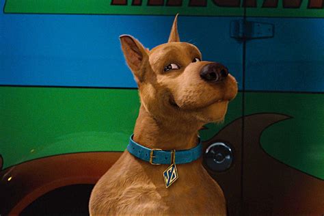 Scooby is a 5 year old, 55 lb lab/hound mix from hawaii. Scooby Doo has been named America's favorite ever on ...