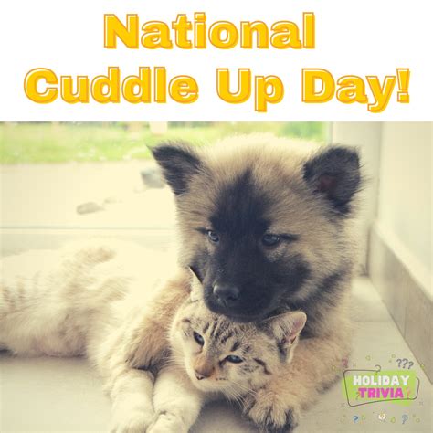 Episode 058 National Cuddle Up Day A Holiday Life