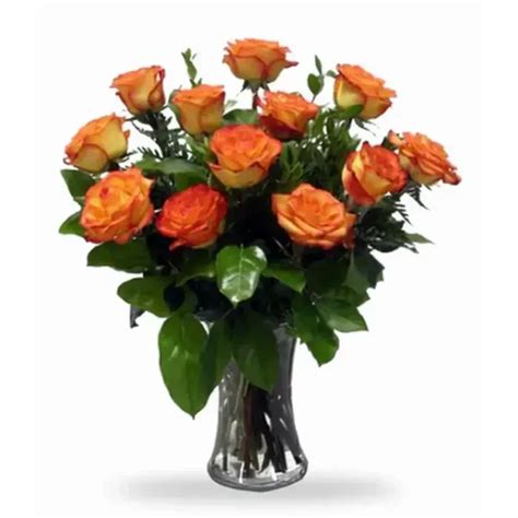 High And Magic 1 Dozen Roses Tampa Florists New Tampa Flowers