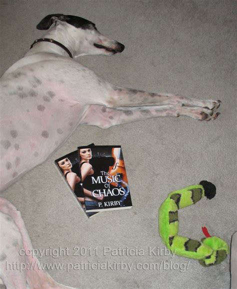 Environmental protection agency (epa) relied on published studies that examined the toxicity of tcvp at on lab animals people who apply tcvp to pets or handle pets after applying the pest control are not at risk from skin exposure. Buy My Book, So I Can Afford Pest Control | But It's a Dry ...