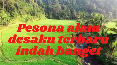 Pesona Alam Desaku Pesawahan Hijau Indah Banget YouTube