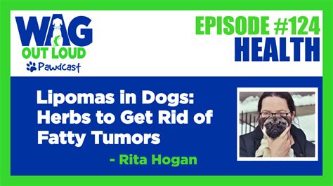 Lipomas In Dogs Herbs To Get Rid Of Fatty Tumors — Wag Out Loud