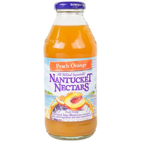 Nantucket Nectars 16 fl. oz. Peach Orange Juice - 12/Case