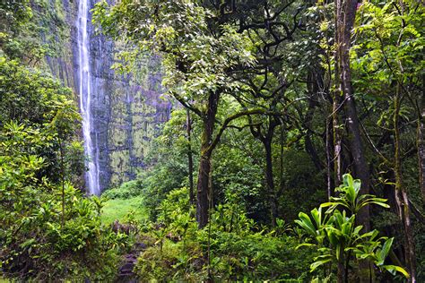 21 Best Things To Do In Maui