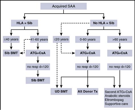 Figure 3 From How I Treat Acquired Aplastic Anemia Semantic Scholar