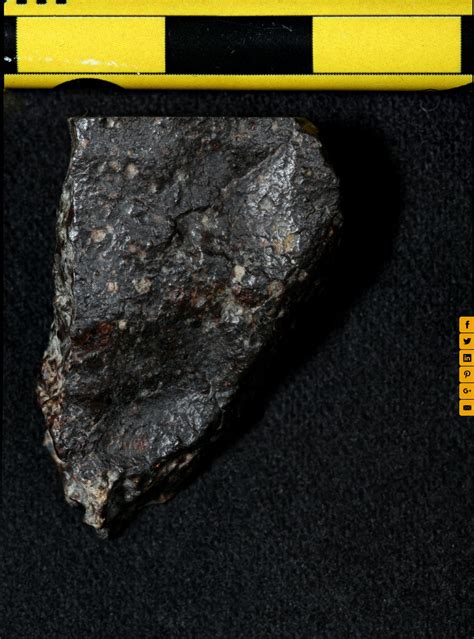 Meteorite Northwest Africa 869