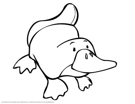 The platypus coloring pages also available in pdf file that you can download for free. Clipart Panda - Free Clipart Images