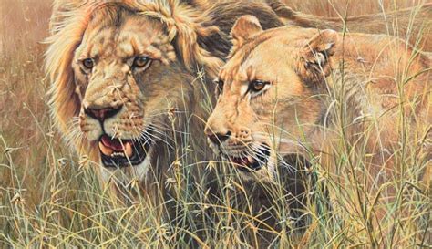 African Wildlife Paintings For Sale Alan M Hunt
