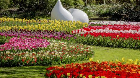 Най пищната градина с пролетни цветя в Европа отвори врати само за три