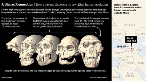 Skull Suggests Single Human Species Emerged From Africa Not Several Wsj
