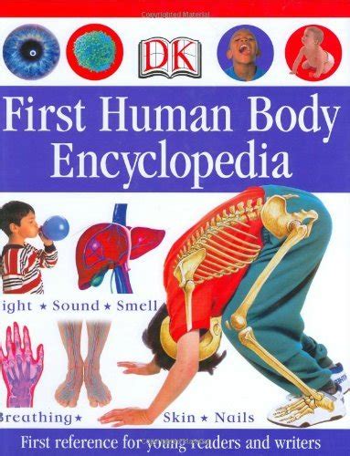 Discover all there is to know about human anatomy in dk's latest concise visual guide to the human body. First Human Body Encyclopedia (Dk First Reference Series ...