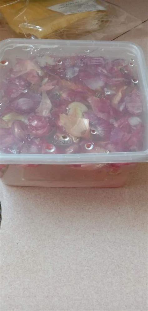 Cara nak elak bawang merah tumbuh. Rendaman Kulit Bawang Elak Semut & Bena Putih. Rajin Buat ...