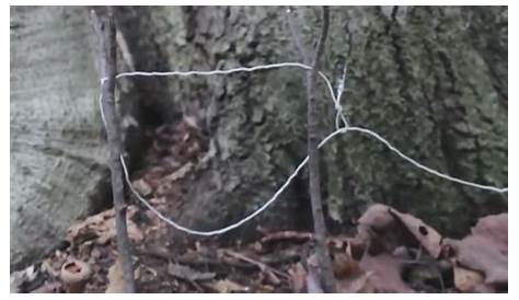 How to Make a Basic SNARE Trap with Paracord or Wire – 101 Ways to Survive