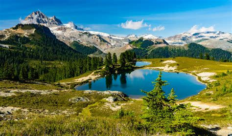 Hiking Elfin Lakes In Garibaldi Provincial Park Best Hikes Bc
