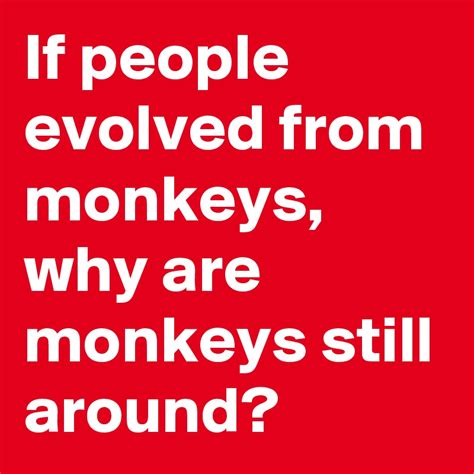 If People Evolved From Monkeys Why Are Monkeys Still Around Post By