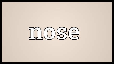 Nose Meaning Youtube