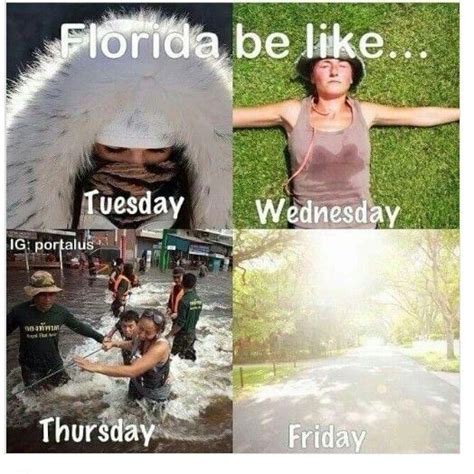 Hilariously True Florida Funny Florida Meme Florida Weather