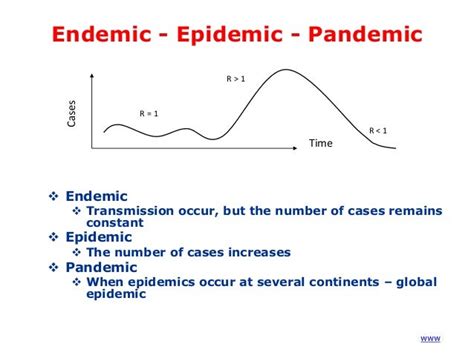 Epidemic Endemic Pandemic Sporadic Definition Pandemic 2020
