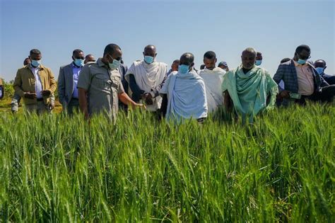 Ethiopia Registers Remarkable Achievements In Agriculture During Past