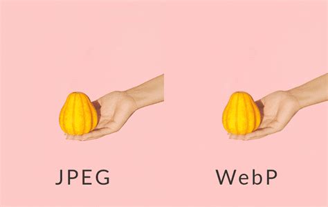Difference Between Jpeg And Webp Webonology