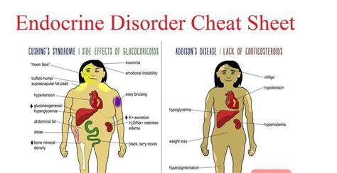 Endocrine Disorder Cheat Sheet NCLEX Quiz Endocrine Disorders