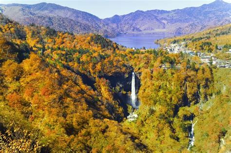 Nikko Pass All Area [4 Days Pass] Things To Do In Tokyo Japan Hisgo U S A