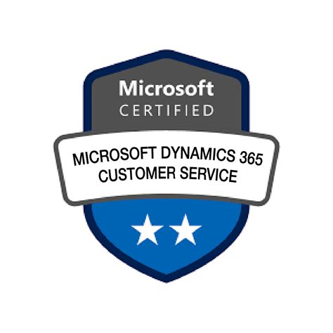 Microsoft Dynamics 365 Customer Service Infosyte