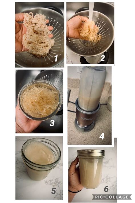 Locally, you might be able to find sea moss at a health food store. How To Make Sea Moss Gel|No-Heat Required | That Green Lyfe