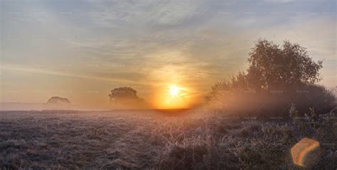 Foggy Landscape At Sunrise Stock Photos Motion Array