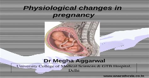 Physiological Changes In Pregnancy 1 Ppt Powerpoint