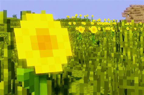 The best jokes (comics and images) about minecraft gif (+1000 pictures). gif gaming flower minecraft shader minecraftgifs •