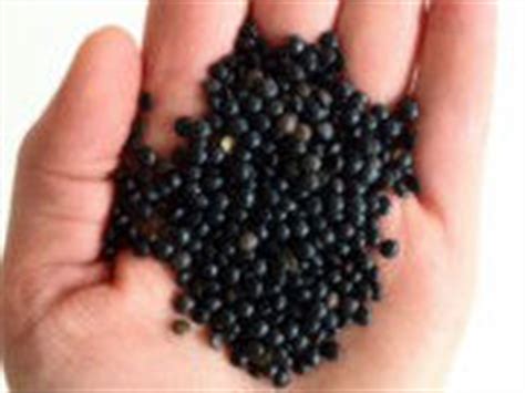 Black beans help prevent cancer. Health Benefits of Eating Black Turtle Beans