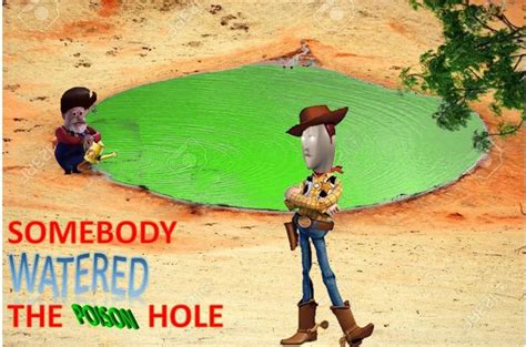 Somebody Watered The Poison Hole Toy Story Woody The
