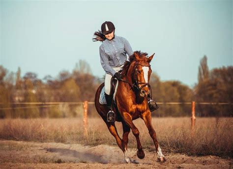 Horseback Riding Carries Big Risk For Serious Injury Study A2z Facts