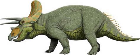 Triceratops Habitat Lifestyle Diet Science4fun