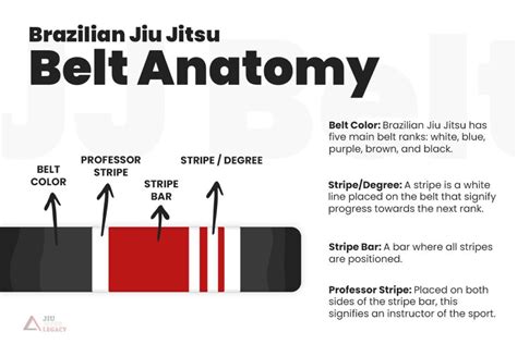 Guide To Bjj Belts Ranking System 8 Belts Explained