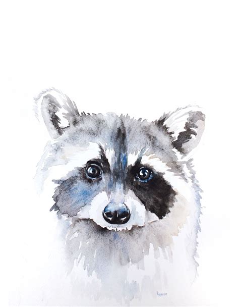 Fullsizerender Raccoon Art Raccoon Illustration Art