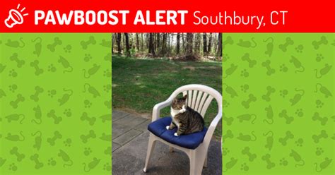 Registered charity number 1168965 purrsrescue@gmail.com. Lost Male Cat in Southbury, CT 06488 Named Bud (ID ...