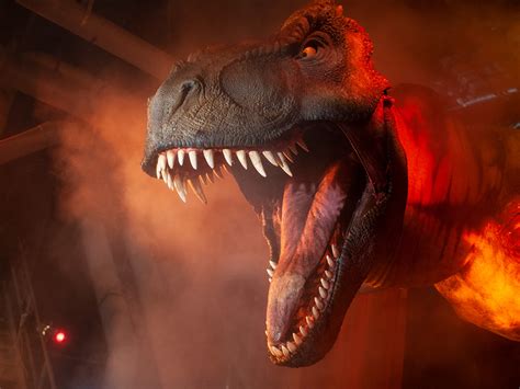 Complete Guide To Jurassic Park River Adventure At Universals Islands