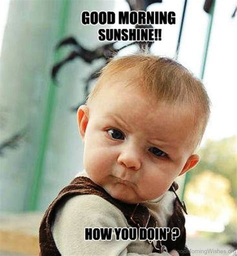 40 funny good morning greetings images