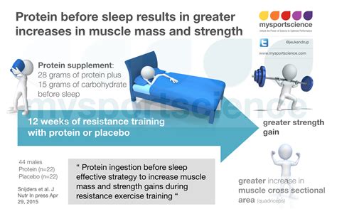 Protein Intake Before Sleep Results In Greater Muscle Mass And Strength