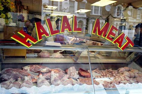 Shark meat is seafood that majority of scholars classify as halal to eat for muslims. It's time to label all meat as stunned or unstunned at ...