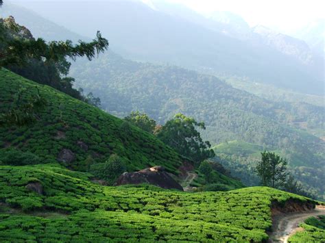 36 Things To Do In Kerala With Beautiful Photographs Include In Kerala Tour Package