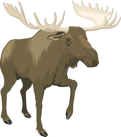 Free Moose Clipart Clipart Best