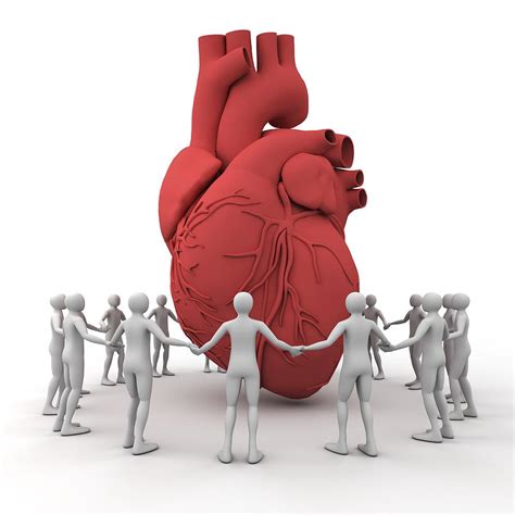 Heart Care Conceptual Image Photograph By Pasieka Fine Art America