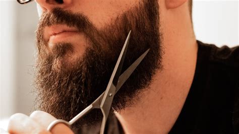 How To Trim Your Beard With Shears Full At Home Beard Trim Using Only Scissors Youtube